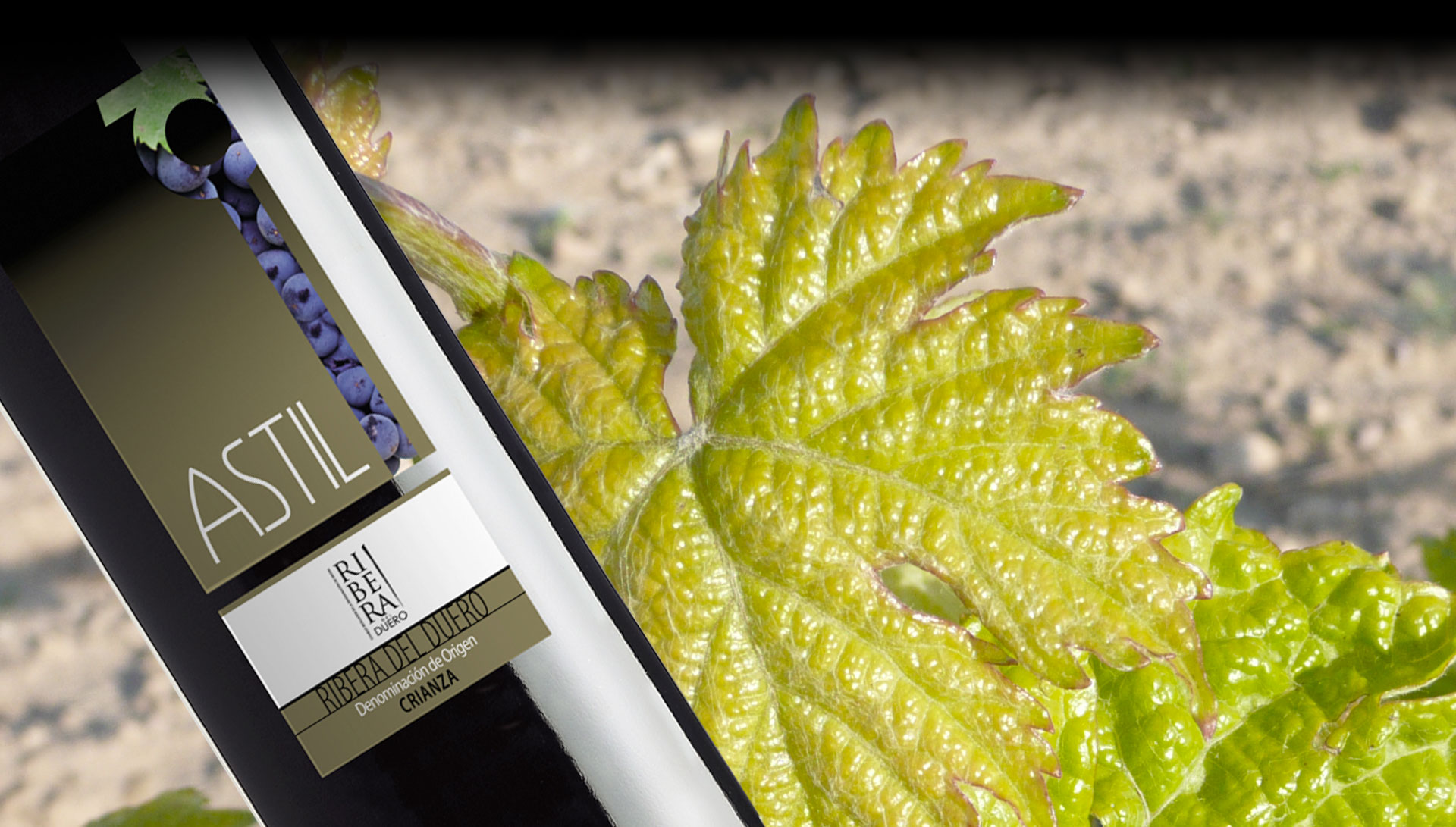 Astil Bodegas